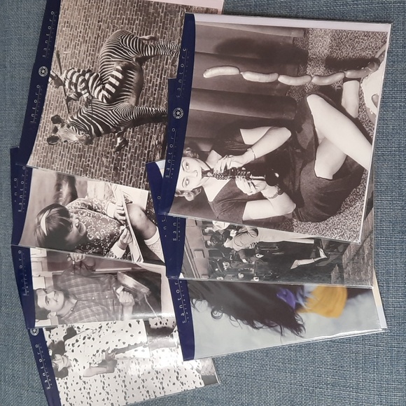 Greeting Cards 7 Pieces Assorted Adult Blank Fun Silly Pictures NWT - Picture 1 of 8